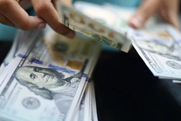 На Вінниччині викрили жінку, яка обікрала дві оселі на понад 7 тисяч доларів