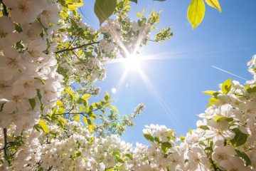 Топ-10 цитат про весну