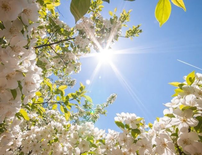 Топ-10 цитат про весну