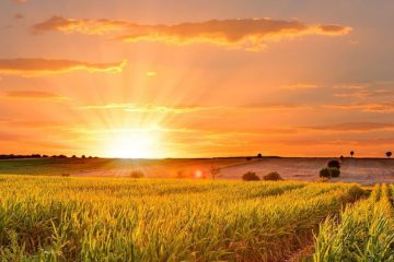 Топ-10 цитат про літо