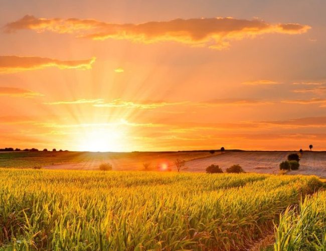 Топ-10 цитат про літо