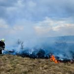 На Вінниччині за добу сталося 12 пожеж, половина з них в екосистемах