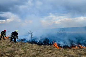 На Вінниччині за добу сталося 12 пожеж, половина з них в екосистемах