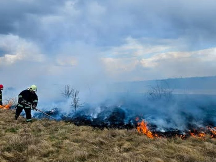 На Вінниччині за добу сталося 12 пожеж, половина з них в екосистемах